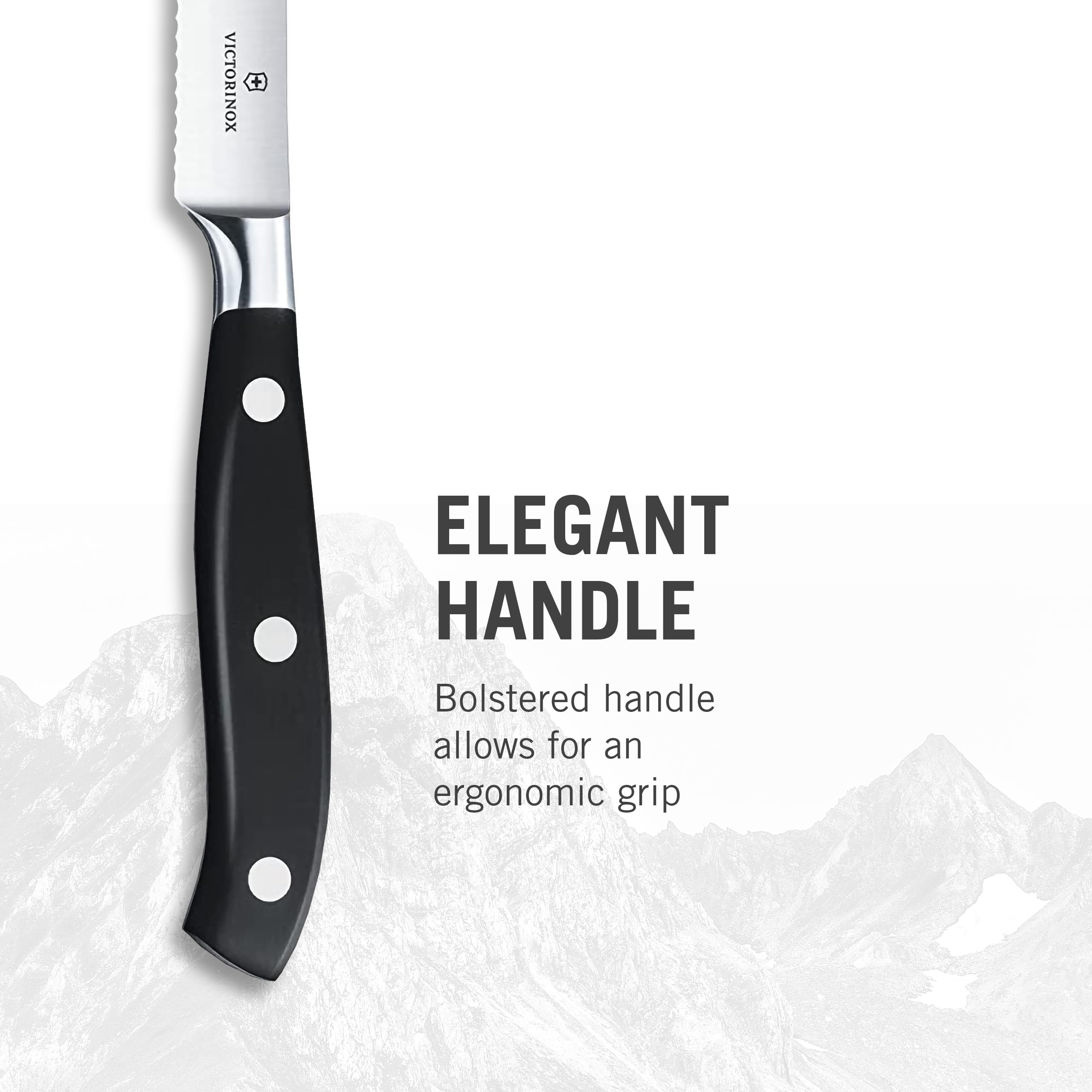 Amazon.com: Victorinox Grand Maitre Steak Knives - Premium Meat